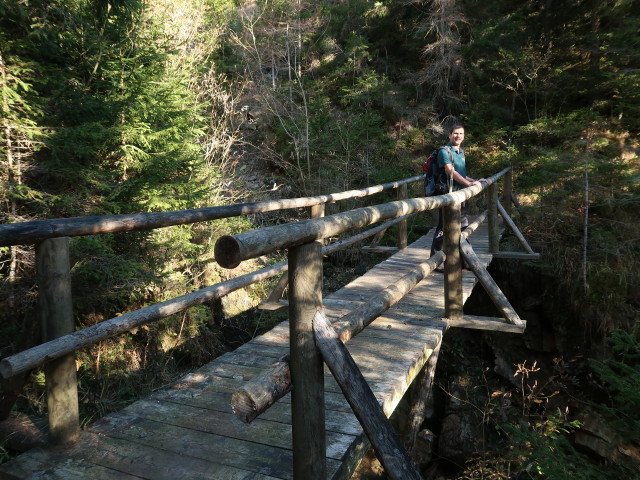 Ronald am Weg 29 im Gussgraben