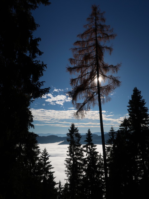 vom Weg 29 zwischen S&uuml;dosten