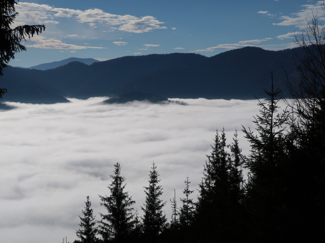 vom Weg 29 Richtung S&uuml;den