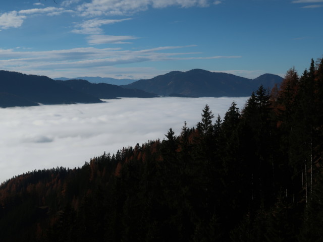 vom Weg 29 Richtung S&uuml;dwesten