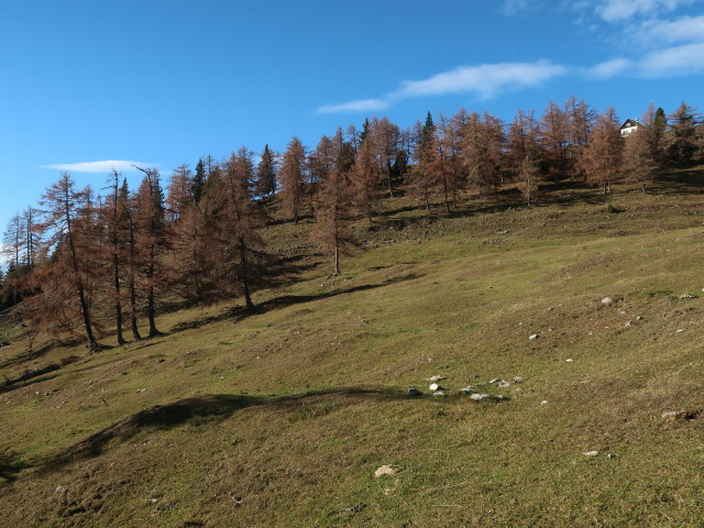 Weg 29 zwischen Gussgraben und Schie&szlig;lingalm