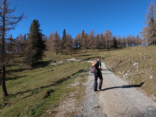 Ronald am Weg 22 zwischen Schie&szlig;lingalm und F&uuml;rstkuppe