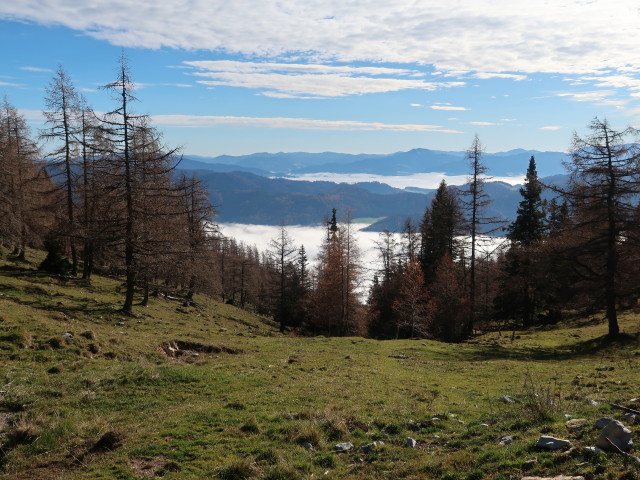 neben Weg 22 zwischen Schie&szlig;lingalm und F&uuml;rstkuppe