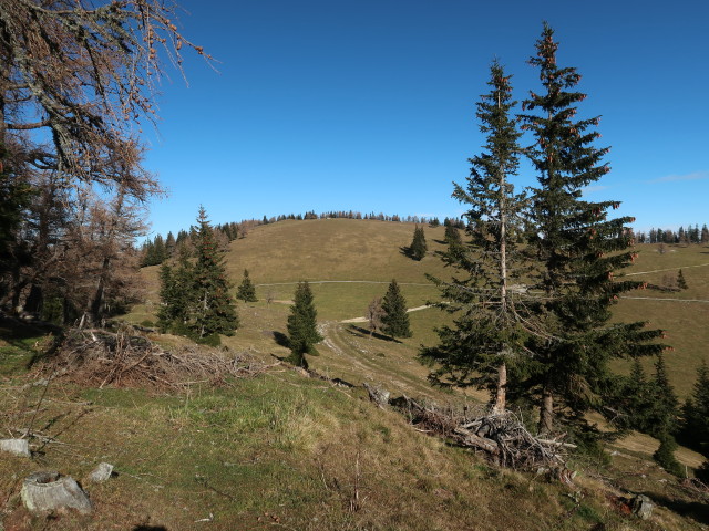 Schie&szlig;ling von der F&uuml;rstkuppe aus
