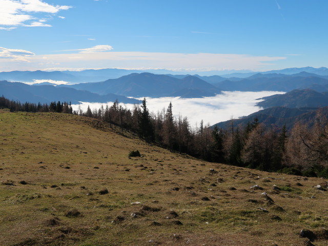 vom Schie&szlig;ling Richtung S&uuml;dwesten