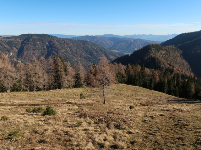 zwischen Oischingalm und Oisching