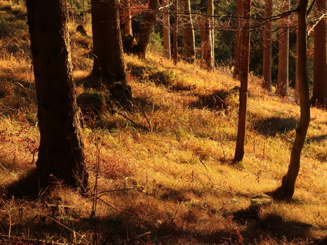 neben Weg 22 zwischen Ranboden und Berghof