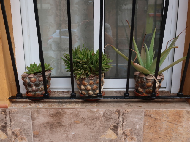 Calle Azor&iacute;n in Almer&iacute;a (18. Nov.)