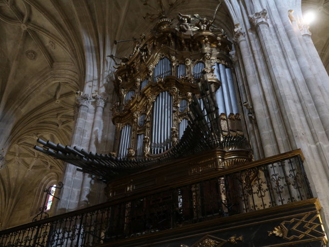 Catedral de Almer&iacute;a (18. Nov.)
