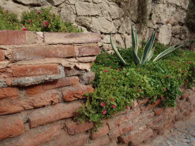 Alcazaba de Almer&iacute;a (18. Nov.)