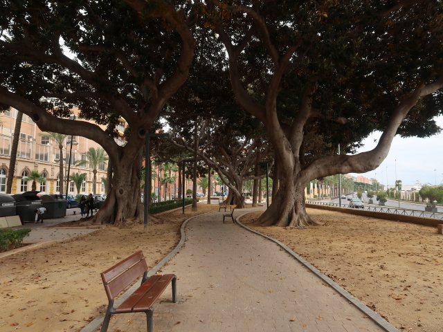 Parque Nicol&aacute;s Salmer&oacute;n (18. Nov.)