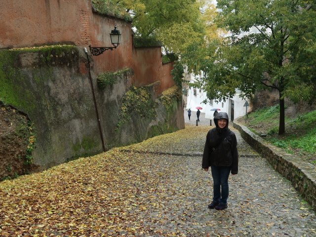 Sabine in der Cuesta de los Chinos in Granada (19. Nov.)