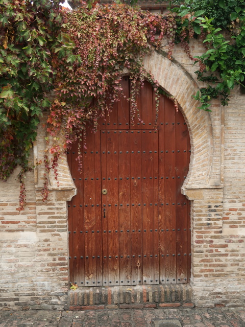 Calle Panaderos in Granada (19. Nov.)
