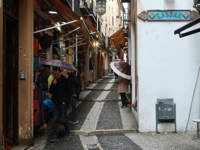 Calle Calderer&iacute;a Nueva in Granada (19. Nov.)