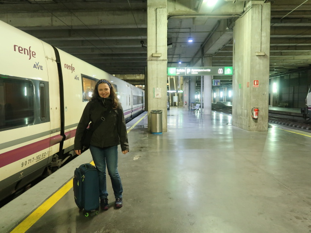 Sabine in der Estación Córdoba Central (19. Nov.)