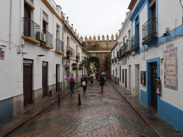 Murallas y Puerta de Almod&oacute;var in C&oacute;rdoba (20. Nov.)