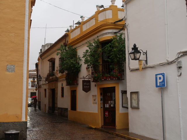Calle Romero in C&oacute;rdoba (20. Nov.)