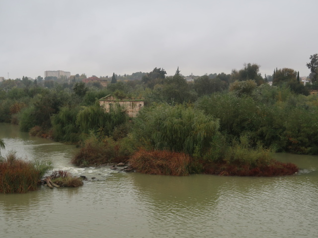 Río Guadalquivirin in Córdoba (20. Nov.)