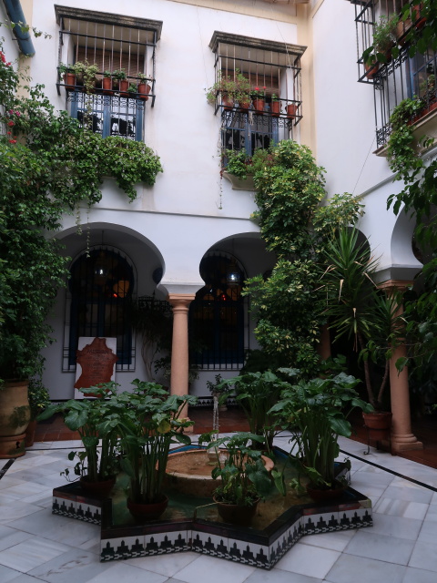 Calle Encarnaci&oacute;n in C&oacute;rdoba (20. Nov.)