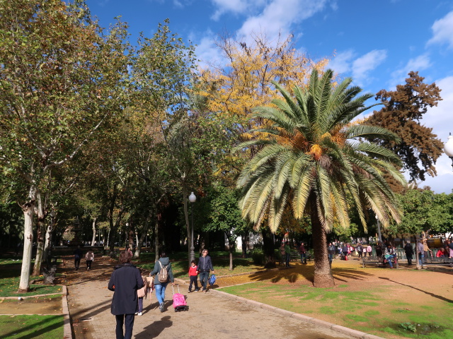 Jardines de la Merced in C&oacute;rdoba (20. Nov.)