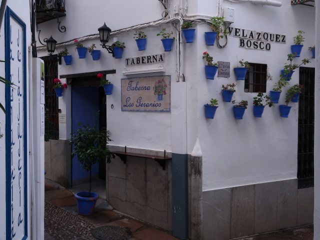 Taberna Los Geranios in C&oacute;rdoba (20. Nov.)