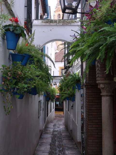 Calleja de las Flores in Córdoba (20. Nov.)