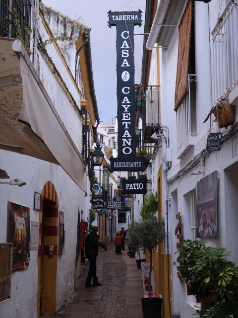 Calle Vel&aacute;zquez Bosco in C&oacute;rdoba (20. Nov.)