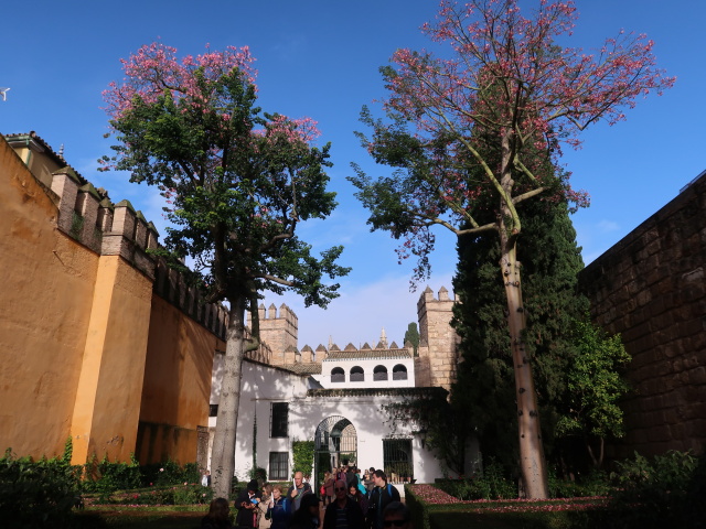 Real Alc&aacute;zar de Sevilla (21. Nov.)