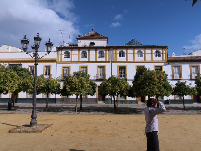 Real Alc&aacute;zar de Sevilla (21. Nov.)