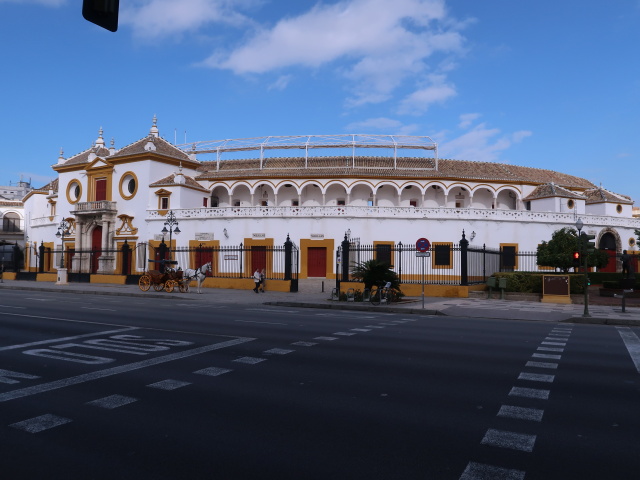 Plaza de Toros de la Real Maestranza de Caballer&iacute;a de Sevilla (21. Nov.)