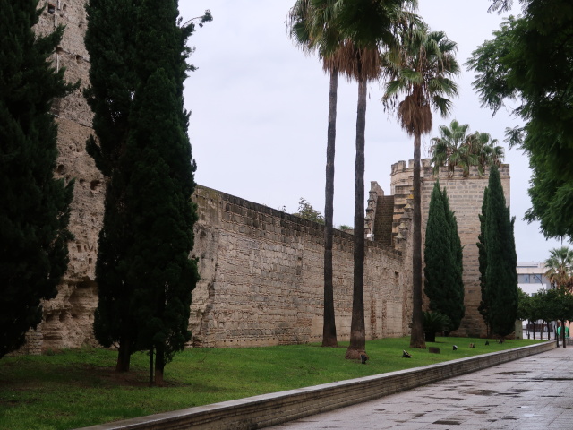 Alc&aacute;zar de Jerez de la Frontera (22. Nov.)