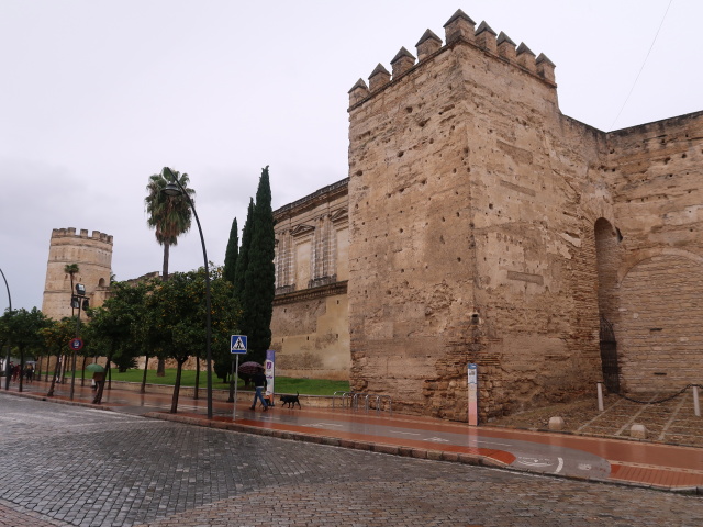 Alc&aacute;zar de Jerez de la Frontera (22. Nov.)
