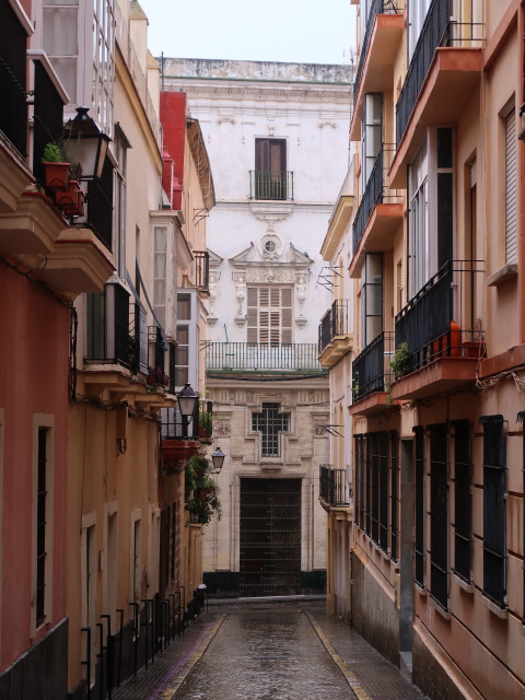 Calle Rosario Cepeda in Cádiz (22. Nov.)