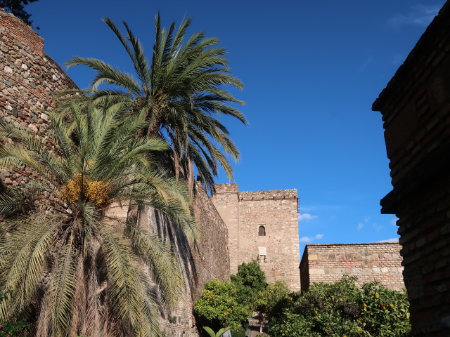 Alcazaba de M&aacute;laga (24. Nov.)
