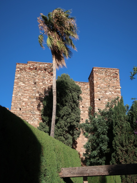 Alcazaba de Málaga (24. Nov.)