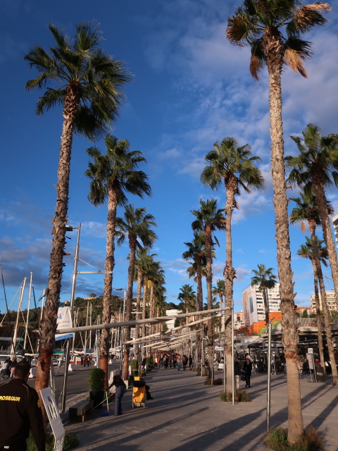 Passeo del Muelle Uno in M&aacute;laga (24. Nov.)