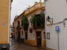 Calle Romero in Córdoba (20. Nov.)