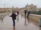 Sabine auf der Puente Romano in Córdoba (20. Nov.)