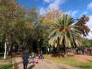 Jardines de la Merced in Córdoba (20. Nov.)