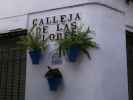 Calleja de las Flores in Córdoba (20. Nov.)