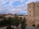 Puente Romano und Torre de la Calahorra in Córdoba (20. Nov.)