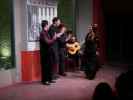 Centro Cultural Flamenco in Sevilla (20. Nov.)