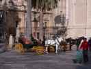 Plaza del Triunfo in Sevilla (21. Nov.)