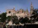 Catedral de Sevilla (21. Nov.)