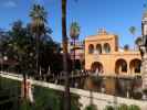 Real Alcázar de Sevilla (21. Nov.)