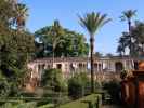 Real Alcázar de Sevilla (21. Nov.)