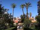 Real Alcázar de Sevilla (21. Nov.)