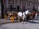 Plaza del Triunfo in Sevilla (21. Nov.)