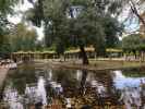 Parque Estanque de Los Lotos in Sevilla (21. Nov.)