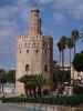 Torre del Oro in Sevilla (21. Nov.)